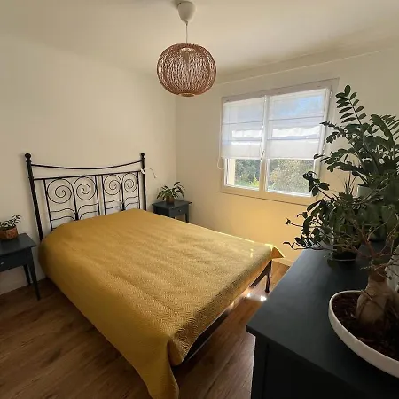 Comfortable For Four People
